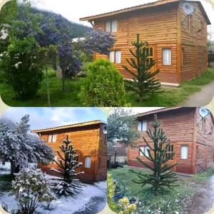 dos fotos de una casa de madera y un árbol en Murmullos del bosque en Lago Puelo