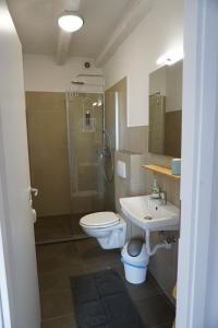 a bathroom with a toilet and a sink and a shower at Farmhouse Cubani in Bale