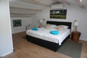 a bedroom with a large bed with blue pillows at Farmhouse Cubani in Bale