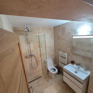 een badkamer met een douche, een toilet en een wastafel bij Apartament Lux - Dorobantilor in Cluj-Napoca