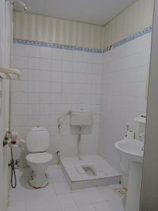 a bathroom with a toilet and a sink at Madina Hotel 2 in Gilgit