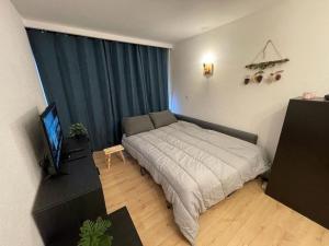 um quarto com uma cama e uma televisão em Résidence le WAALA , face aux pistes em Les Deux Alpes