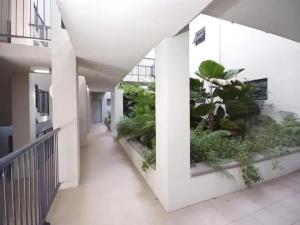 a hallway in a building with plants on the walls at 3 bedroom 2 bath apartment in Cairns Queensland in Cairns