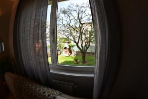 una finestra con vista sul parco attraverso di essa di Suite Dalmine a Dalmine