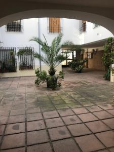 Fotografia z galérie ubytovania Aroma de azahar, en San Basilio v destinácii Córdoba