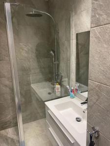 bagno con doccia e lavandino bianco di Charmant studio avec vue mer, terrasse Anse-Marcel ad Anse Marcel