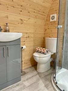 a bathroom with a toilet and a sink at Park Hill Pod in Stratford-upon-Avon