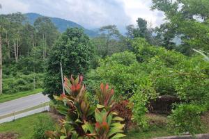 a view of a road with trees and a mountain at Teratak An Nur: A village on top of the hill in Kuala Pilah