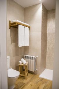 a bathroom with a toilet and towels on a wall at Apartamentos Las Alas in Cartes