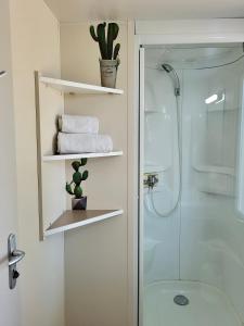 La salle de bains est pourvue d'une douche, de serviettes et d'une porte en verre. dans l'établissement Piana, à Lumio