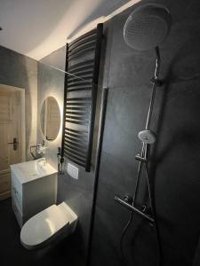 La salle de bains est pourvue d'une douche, de toilettes et d'un lavabo. dans l'établissement Poncyljuszówka, à Szczyrk