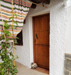 a cat sitting in front of a door at Casa Soportújar las flores in Soportújar