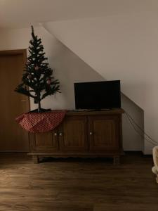 a christmas tree sitting on a dresser with a television at SchöneWohnung mit eigenem Gsrten und Eingang in Schwentinental