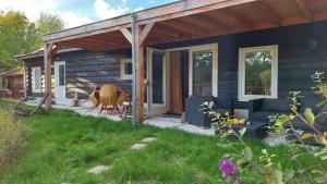 a blue house with a patio with a table and chairs at TUUS in Dishoek in Dishoek