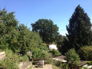 un parco con panchine e alberi su una collina di Private room for long term rent 1000-1200CHF per month a Bolligen