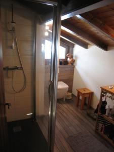 a bathroom with a shower and a toilet in a room at Les Mules in Combloux