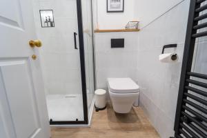 a small bathroom with a toilet and a shower at No 2 at Albion Terrace in Bath