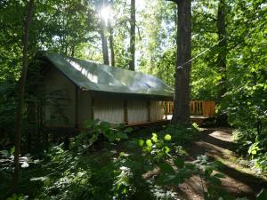 迪克里的住宿－Mežurgu teltis，树林中间的小屋