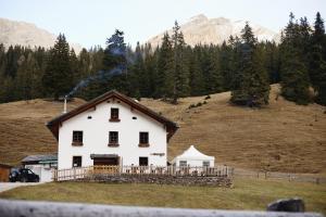 biały dom na szczycie wzgórza z drzewami w obiekcie Rifugio Malga Ra Stua w mieście Cortina dʼAmpezzo