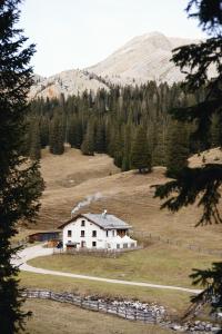 una casa blanca en un campo con una montaña en Rifugio Malga Ra Stua, en Cortina dʼAmpezzo