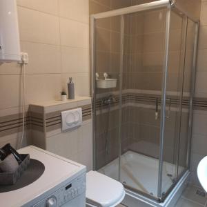 La salle de bains est pourvue d'une douche et de toilettes. dans l'établissement Apartman Lola, à Subotica
