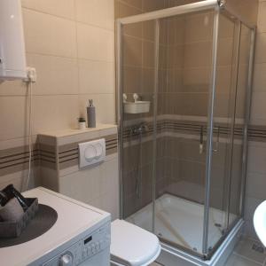 a bathroom with a shower and a toilet at Apartman Lola in Subotica +15 photos