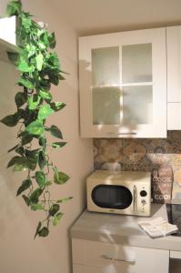 kuchnia z kuchenką mikrofalową i rośliną na ścianie w obiekcie Domu 600 - Suite mini appartamento Cagliari centro storico w Cagliari