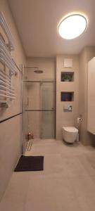 a bathroom with a glass shower and a toilet at Urokliwy Apartament Bałtyk 2 nieopodal Gdyni NEW in Pogórze