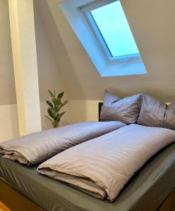 a bed in a room with a skylight at Platzhirsch in Kehl am Rhein