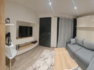 ein Wohnzimmer mit einem Sofa und einem TV in der Unterkunft Studio 2022 terrasse parking 5 min d'Annecy in Poisy