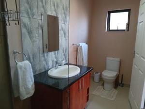 a bathroom with a sink and a toilet at SONHOS dreams Self catering Garden Cottages in Bloemfontein