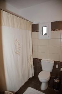 een badkamer met een toilet en een douchegordijn bij ΜΕΖΟΝΕΤΑ 120 τ.μ. in Kalabaka