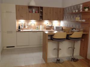 Gallery image of Ferienwohnung DANUBIA in Linz