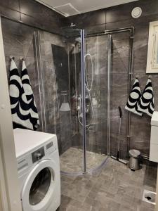 a washing machine in a bathroom with a shower at Guest House Koskenkylä in Rovaniemi