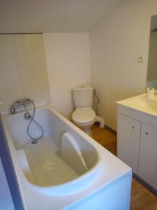 a bathroom with a bath tub and a toilet at Studio tout équipé plein centre-ville de Limoges in Limoges