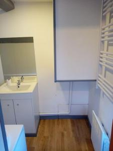 Baño pequeño con lavabo y espejo en Studio tout équipé plein centre-ville de Limoges en Limoges