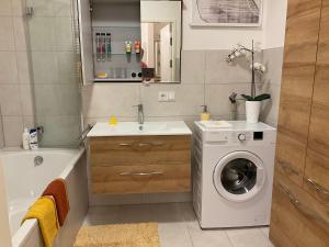 a bathroom with a washing machine and a sink at Ferienwohnung DANUBIA in Linz