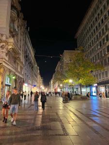Un groupe de personnes marchant dans une rue la nuit dans l'établissement Sandra City Center Apartment, à Belgrade