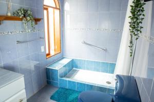 baño de azulejos azules con ducha y aseo en Colibrí Turquesa, en Tepoztlán