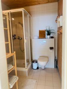 a small bathroom with a toilet and a shower at La Romély in Arzier