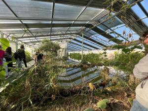 a greenhouse with plants and people walking in it at Ezen Giardino Botanico in Acquaponica in Lecce