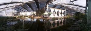 a green house with a pond and plants in it at Ezen Giardino Botanico in Acquaponica in Lecce