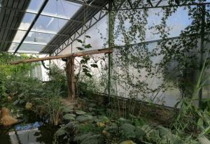 a greenhouse with plants growing in it at Ezen Giardino Botanico in Acquaponica in Lecce