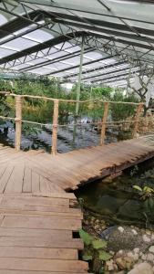 a wooden bridge over a body of water at Ezen Giardino Botanico in Acquaponica in Lecce