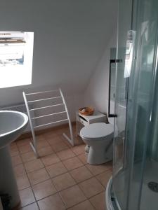 a bathroom with a toilet and a sink and a shower at La Grange Chevrefeuille 