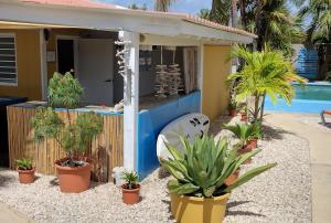 Barefoot Bonaire في كراليندايك: منزل به نباتات الفخار أمام حمام السباحة