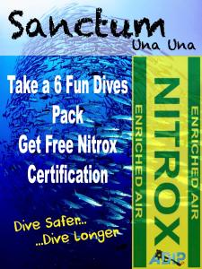 a poster for a concert with the words summerum take a fun drives pack at Sanctum Una Una Eco Dive Resort in Pulau Unauna