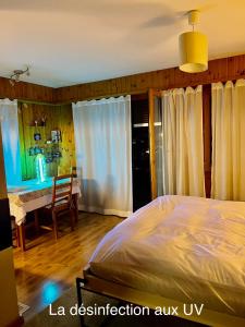 a bedroom with a bed and a desk at Charmant Studio, 2 adultes , Centre de Nendaz in Nendaz