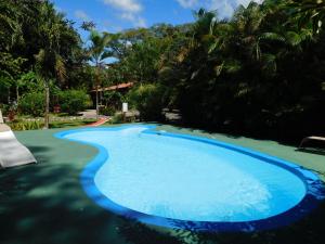 a large blue swimming pool with trees in the background at Villasjungle 2 in Sámara