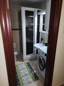 een badkamer met een wasmachine en een wastafel bij Apartman Mali Raj in Vrnjačka Banja